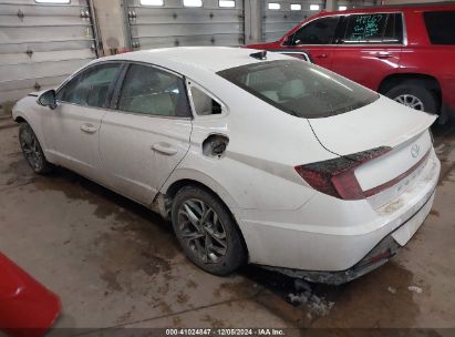 2023 HYUNDAI SONATA SEL White  Gasoline KMHL64JA2PA294995 photo #4