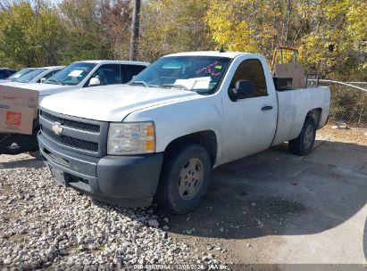 2009 CHEVROLET SILVERADO 1500 WORK TRUCK White  Gasoline 1GCEC14X89Z219100 photo #3