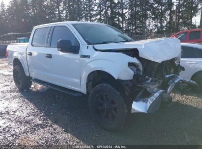 2017 FORD F-150 XLT White  Gasoline 1FTEW1EF7HFC63537 photo #1