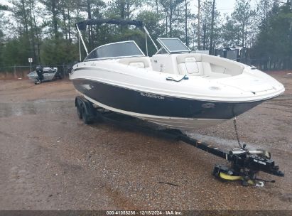 2009 SEA RAY SEA RAY 230 SUNDECK White  Other SERV2033I809 photo #1