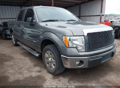 2012 FORD F-150 XLT Gray  Gasoline 1FTFW1CT2CFC95334 photo #1