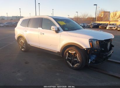 2024 KIA TELLURIDE EX White  Gasoline 5XYP34GC2RG504568 photo #1