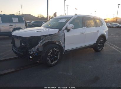 2024 KIA TELLURIDE EX White  Gasoline 5XYP34GC2RG504568 photo #3