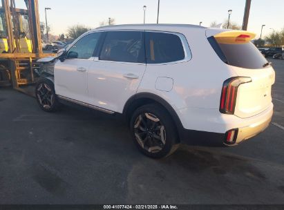 2024 KIA TELLURIDE EX White  Gasoline 5XYP34GC2RG504568 photo #4