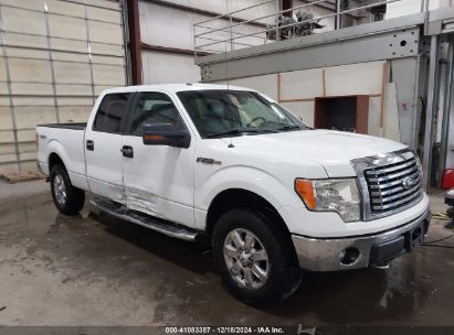 2011 FORD F-150 XLT White  Flexible Fuel 1FTFW1EF8BKE18681 photo #1