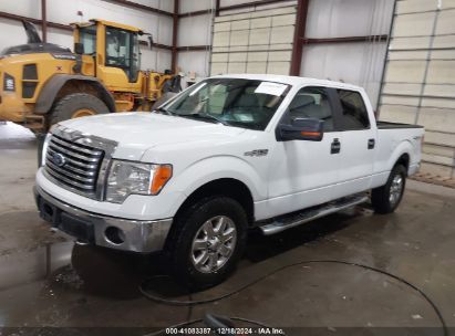 2011 FORD F-150 XLT White  Flexible Fuel 1FTFW1EF8BKE18681 photo #3