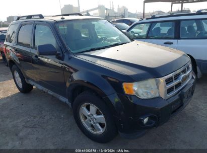 2010 FORD ESCAPE XLT Black  Flexible Fuel 1FMCU0DG0AKC84885 photo #1