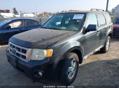 2010 FORD ESCAPE XLT Black  Flexible Fuel 1FMCU0DG0AKC84885 photo #3