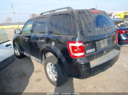 2010 FORD ESCAPE XLT Black  Flexible Fuel 1FMCU0DG0AKC84885 photo #4