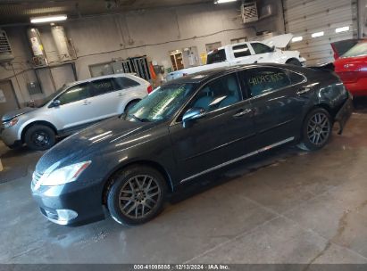 2010 LEXUS ES 350 Gray  Gasoline JTHBK1EG9A2404773 photo #3