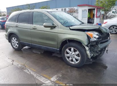 2007 HONDA CR-V EX-L Green  Gasoline JHLRE48767C040001 photo #1