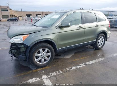 2007 HONDA CR-V EX-L Green  Gasoline JHLRE48767C040001 photo #3