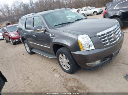 2010 CADILLAC ESCALADE STANDARD Gray  Flexible Fuel 1GYUKAEF3AR254842 photo #1