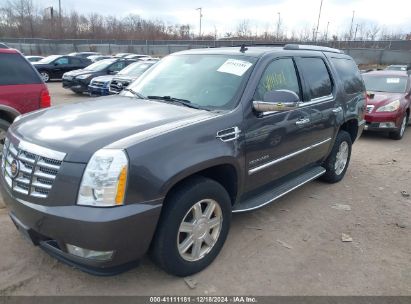 2010 CADILLAC ESCALADE STANDARD Gray  Flexible Fuel 1GYUKAEF3AR254842 photo #3