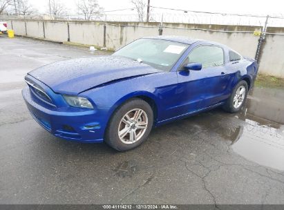 2013 FORD MUSTANG V6 Blue  Gasoline 1ZVBP8AM3D5259740 photo #3