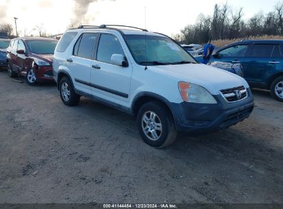 2003 HONDA CR-V EX White  Gasoline SHSRD78823U152729 photo #1