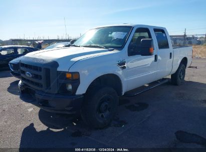 2008 FORD F-250 FX4/HARLEY-DAVIDSON/KING RANCH/LARIAT/XL/XLT White  Diesel 1FTSW21RX8EB44623 photo #3