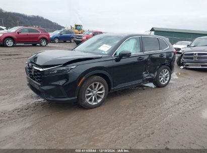 2024 HONDA CR-V EX AWD Black  Gasoline 2HKRS4H43RH464805 photo #3