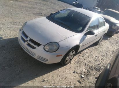 2004 DODGE NEON SE White  Gasoline 1B3ES26C64D529675 photo #3