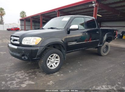 2006 TOYOTA TUNDRA SR5 V8 Black  Gasoline 5TBET34116S533278 photo #3