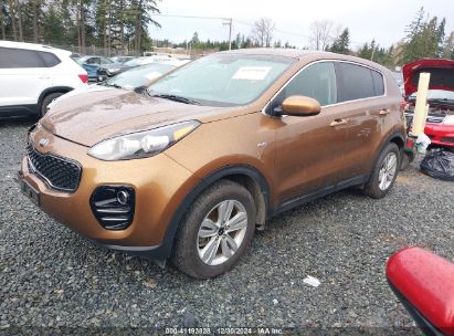 2017 KIA SPORTAGE LX Gold  Gasoline KNDPMCAC0H7281877 photo #3