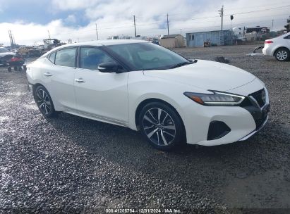 2023 NISSAN MAXIMA SV White  Gasoline 1N4AA6CV1PC511811 photo #1