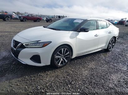 2023 NISSAN MAXIMA SV White  Gasoline 1N4AA6CV1PC511811 photo #3