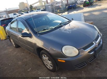 2004 DODGE NEON SXT Gray  Gasoline 1B3ES56C74D501210 photo #1