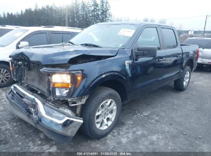 2023 FORD F-150 XLT Blue  Gasoline 1FTFW1E51PFA84677 photo #3