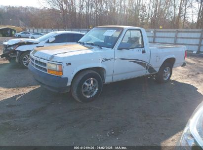 1996 DODGE DAKOTA White  Gasoline 1B7FL26X0TS593269 photo #3