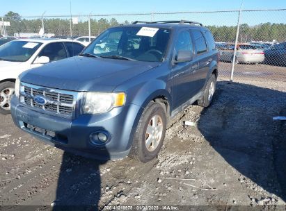 2010 FORD ESCAPE XLT Blue  Gasoline 1FMCU0D77AKD30602 photo #3