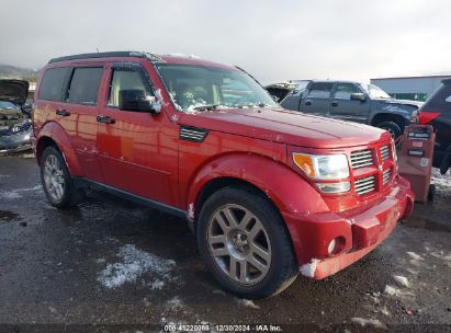 2010 DODGE NITRO SXT Burgundy  Gasoline 1D4PU5GX7AW100651 photo #1