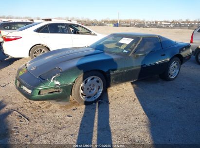 1996 CHEVROLET CORVETTE Green  Gasoline 1G1YY22P8T5113891 photo #3