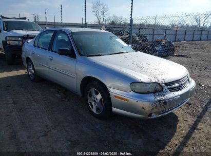 2005 CHEVROLET CLASSIC Silver  Gasoline 1G1ND52F75M238087 photo #1