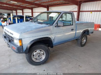 1988 NISSAN D21 SHORT BED Blue  Gasoline 1N6HD11Y2JC380893 photo #3