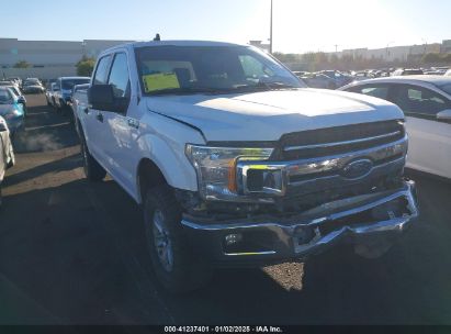 2019 FORD F-150 XLT White  Gasoline 1FTEW1E52KKD51384 photo #1