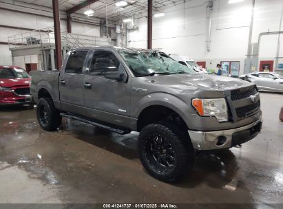 2014 FORD F-150 FX4/KING RANCH/LARIAT/LIMITED/PLATINUM/XL/XLT Gray  Gasoline 1FTFW1ET4EFB86034 photo #1