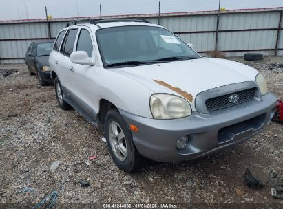 2003 HYUNDAI SANTA FE GLS/LX White  Gasoline KM8SC73E23U536604 photo #1