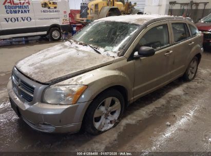 2010 DODGE CALIBER SXT Gold  Gasoline 1B3CB4HA8A0602975 photo #3