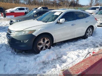 2011 HONDA ACCORD CROSSTOUR EX-L White  Gasoline 5J6TF2H57BL001567 photo #3