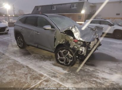 2024 HYUNDAI TUCSON LIMITED Silver  Gasoline 5NMJECDE6RH434059 photo #1