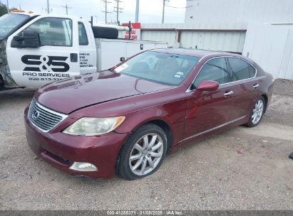 2007 LEXUS LS 460 Burgundy  Gasoline JTHBL46FX75048619 photo #3