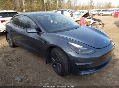 2023 TESLA MODEL 3 REAR-WHEEL DRIVE Gray  Electric 5YJ3E1EA2PF483637 photo #1