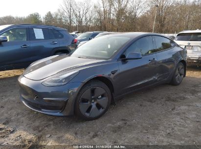 2023 TESLA MODEL 3 REAR-WHEEL DRIVE Gray  Electric 5YJ3E1EA2PF483637 photo #3