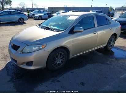 2010 TOYOTA COROLLA LE Champagne  Gasoline 1NXBU4EE0AZ233827 photo #3