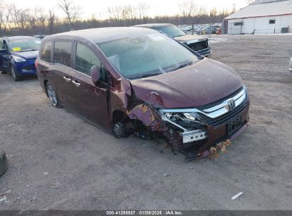 2019 HONDA ODYSSEY EX-L Maroon  Gasoline 5FNRL6H77KB125391 photo #1