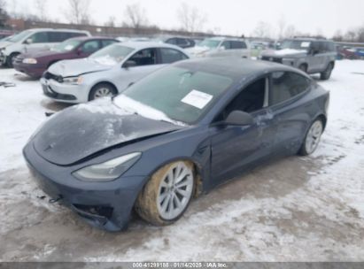 2023 TESLA MODEL 3 REAR-WHEEL DRIVE Gray  Electric 5YJ3E1EA6PF448664 photo #3