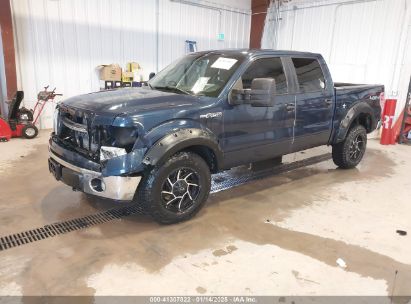 2014 FORD F-150 XLT Blue  Flexible Fuel 1FTFW1EF5EFC16586 photo #3