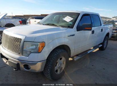 2012 FORD F-150 XLT White  Flexible Fuel 1FTFW1EF2CFC76662 photo #3