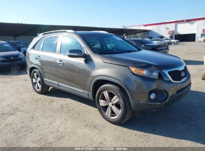 2013 KIA SORENTO EX Beige  Gasoline 5XYKU4A60DG421059 photo #1